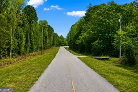 6 65 Acres Clinch Ln, Brunswick, GA 31523
