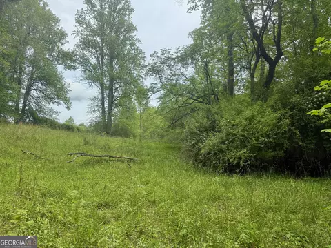 lot9 Peach Orchard Way, Tiger, GA 30576