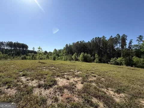 Other - 1185 County Road 402, Fruithurst, AL 36262 photo 19 of 36