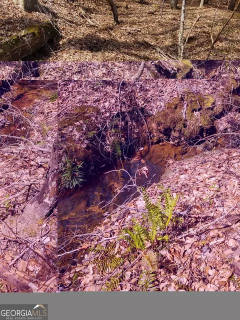 Other - 1185 County Road 402, Fruithurst, AL 36262 photo 30 of 36