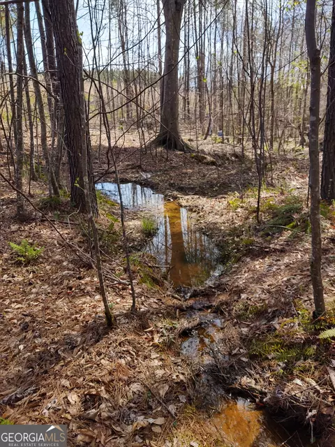 Other - 1185 County Road 402, Fruithurst, AL 36262 photo 31 of 36