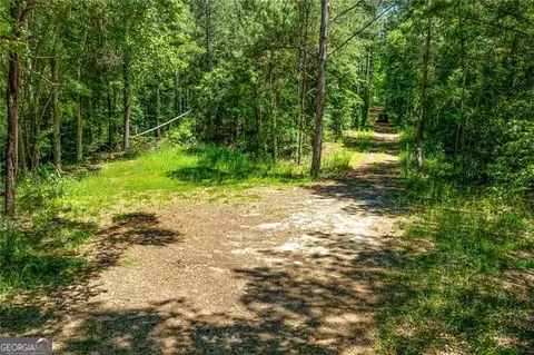 0 Manning Gin Rd, Monroe, GA 30656 photo 6
