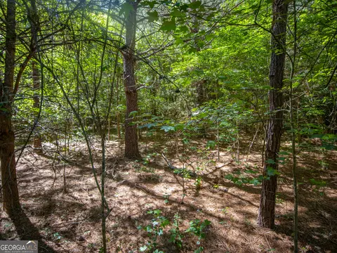 10 5 Acres Bronco Rd, La Fayette, GA 30728