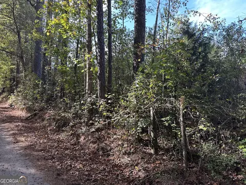0 Teal Rd, South Fulton, GA 30213 photo 23
