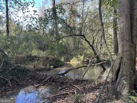 0 Teal Rd, South Fulton, GA 30213 photo 18