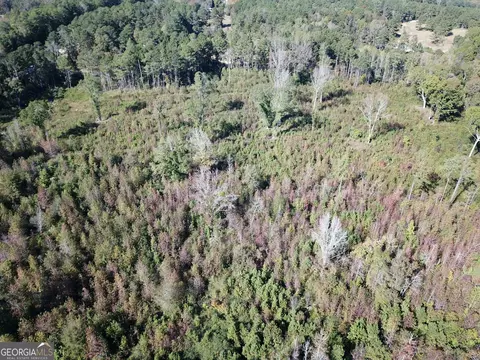 0 Teal Rd, South Fulton, GA 30213 photo 9