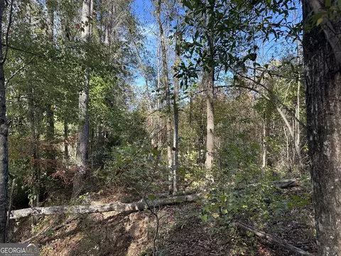 0 Teal Rd, South Fulton, GA 30213 photo 21