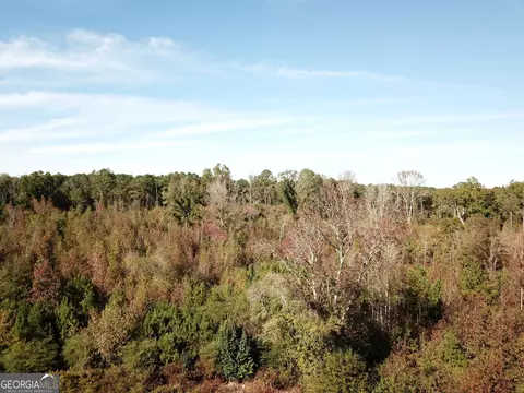 0 Teal Rd, South Fulton, GA 30213 photo 10