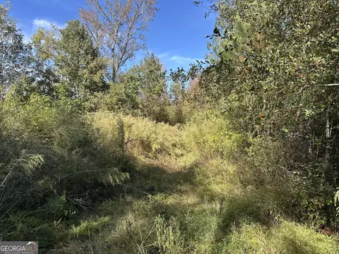 0 Teal Rd, South Fulton, GA 30213 photo 12
