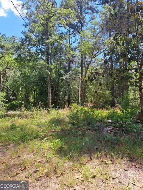 608 Bass Rd, Reidsville, GA 30453