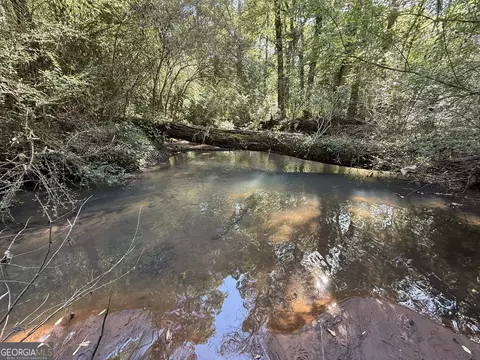 012 George Milling Rd, Cuthbert, GA 39840 photo 5