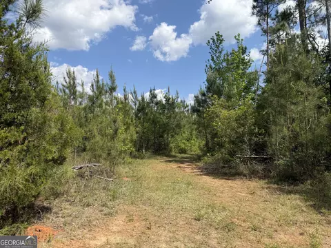 012 George Milling Rd, Cuthbert, GA 39840 photo 8