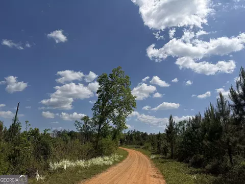 012 George Milling Rd, Cuthbert, GA 39840 photo 7