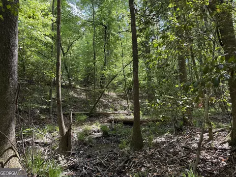 012 George Milling Rd, Cuthbert, GA 39840 photo 4