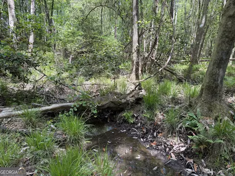 012 George Milling Rd, Cuthbert, GA 39840 photo 3