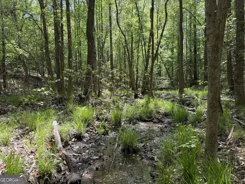 012 George Milling Rd, Cuthbert, GA 39840 photo 2