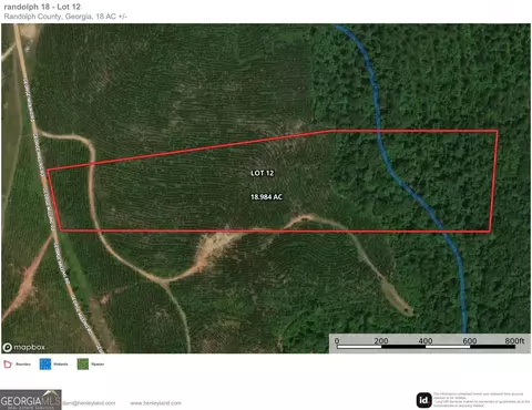 012 George Milling Rd, Cuthbert, GA 39840 photo 11