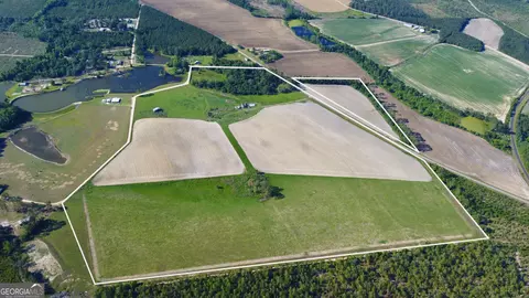 94 20 Acres Tr Georgia Cir, Hazlehurst, GA 31539