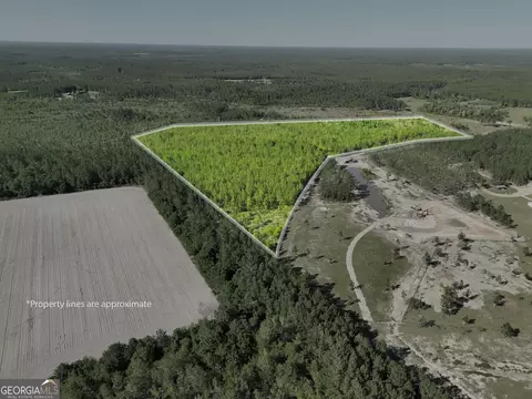 23 68 Acres Quick Draw Rd, Waycross, GA 31503