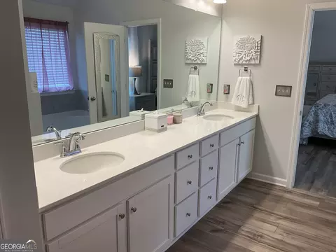 Bath - 137 Cabin Way, Hampton, GA 30228 photo 3 of 6