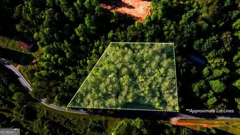 3 West Gum Log Road, Warne, NC 28909