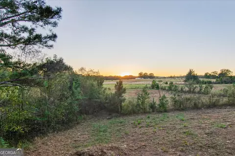 Other - 134 Mitchell Farm Rd, Colbert, GA 30628 photo 20 of 20