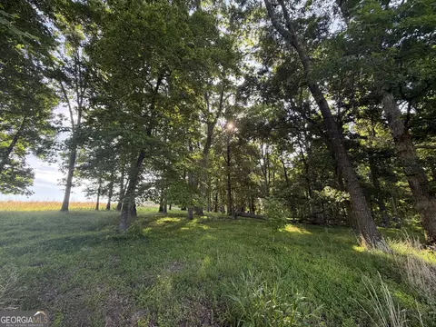 0 Jim Thomas Rd, Demorest, GA 30535 photo 23