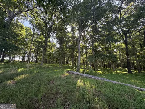 0 Jim Thomas Rd, Demorest, GA 30535 photo 33