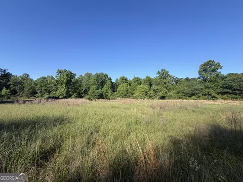 0 Jim Thomas Rd, Demorest, GA 30535 photo 20