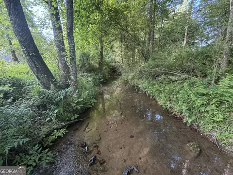 0 Jim Thomas Rd, Demorest, GA 30535 photo 18