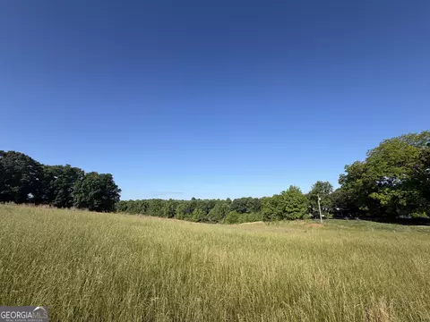 0 Jim Thomas Rd, Demorest, GA 30535 photo 28