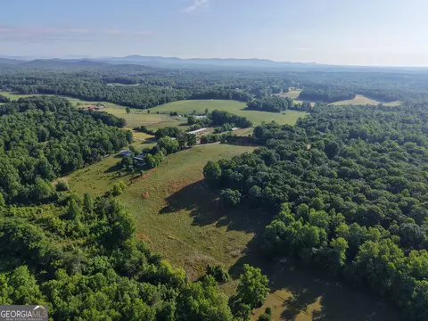 0 Jim Thomas Rd, Demorest, GA 30535 photo 10