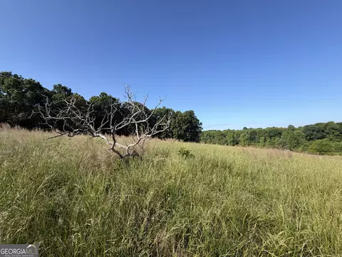 0 Jim Thomas Rd, Demorest, GA 30535 photo 27
