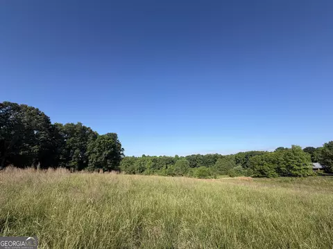 0 Jim Thomas Rd, Demorest, GA 30535 photo 26