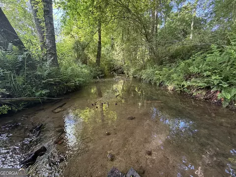 0 Jim Thomas Rd, Demorest, GA 30535 photo 16