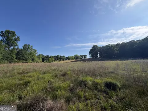 0 Jim Thomas Rd, Demorest, GA 30535 photo 19