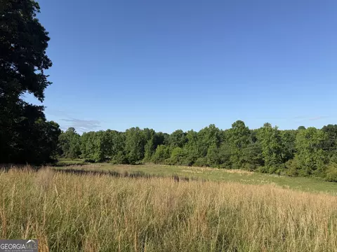 0 Jim Thomas Rd, Demorest, GA 30535 photo 32