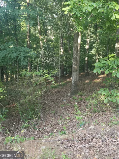 330 Caldwell Cir, Athens, GA 30606