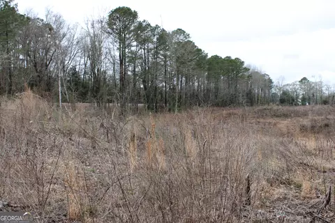 1262 Highway 16 E, Jackson, GA 30233 photo 8
