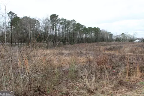1262 Highway 16 E, Jackson, GA 30233 photo 6