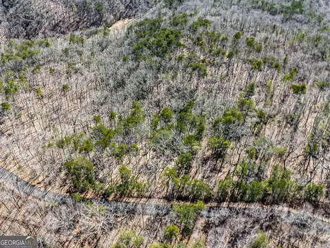 0 Outback Rd #87, Jasper, GA 30143 photo 3