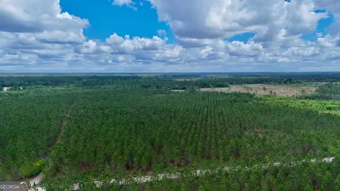 20 Ac Owens Rd, Odum, GA 31555