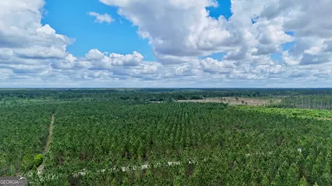 26 Ac Owens Rd, Odum, GA 31555