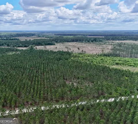 17 Ac Owens Rd, Odum, GA 31555
