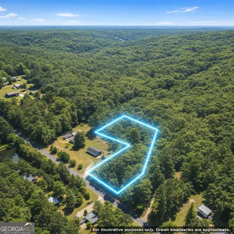 0 Harry Arnold Rd, Monroe, GA 30655 photo 10