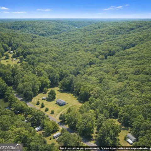 0 Harry Arnold Rd, Monroe, GA 30655 photo 9