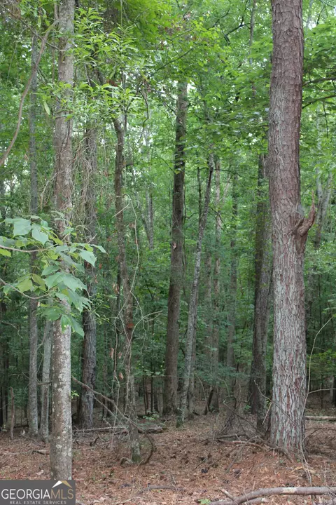 3 Mount Moriah Rd, Auburn, GA 30011 photo 5