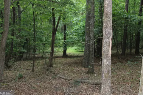 3 Mount Moriah Rd, Auburn, GA 30011 photo 10