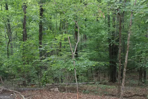 3 Mount Moriah Rd, Auburn, GA 30011 photo 7