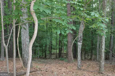 3 Mount Moriah Rd, Auburn, GA 30011 photo 4